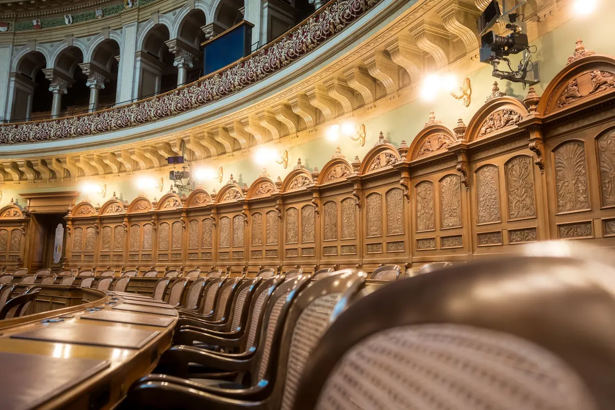 How to Speak at a Borough Council Meeting: A First-Timer's Guide
